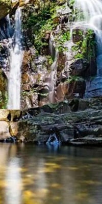 Bach Ma National Park one day tour